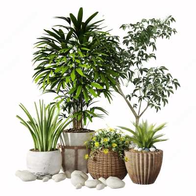 盆栽3D模型下载